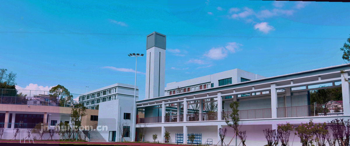 横向流程图：诊断网络与缓存-执行刷新操作-确认更新结果与联系客服