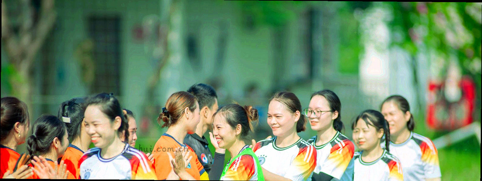 互锁的六边形与细线纹理，象征条款边界
