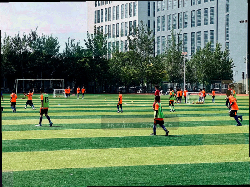 手机界面显示排行榜线条的抽象图